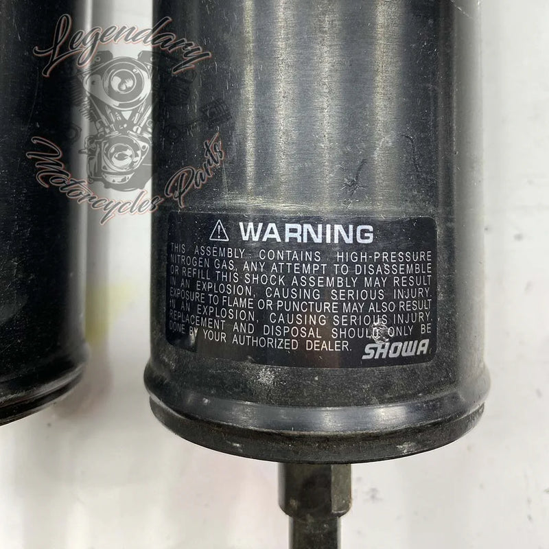 Amortyzatory OEM 54508-00B