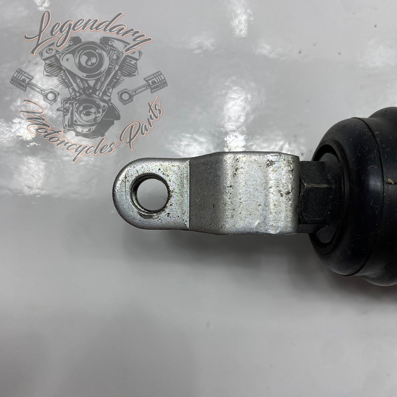 Maître-cylindre de frein arrière OEM 41700460