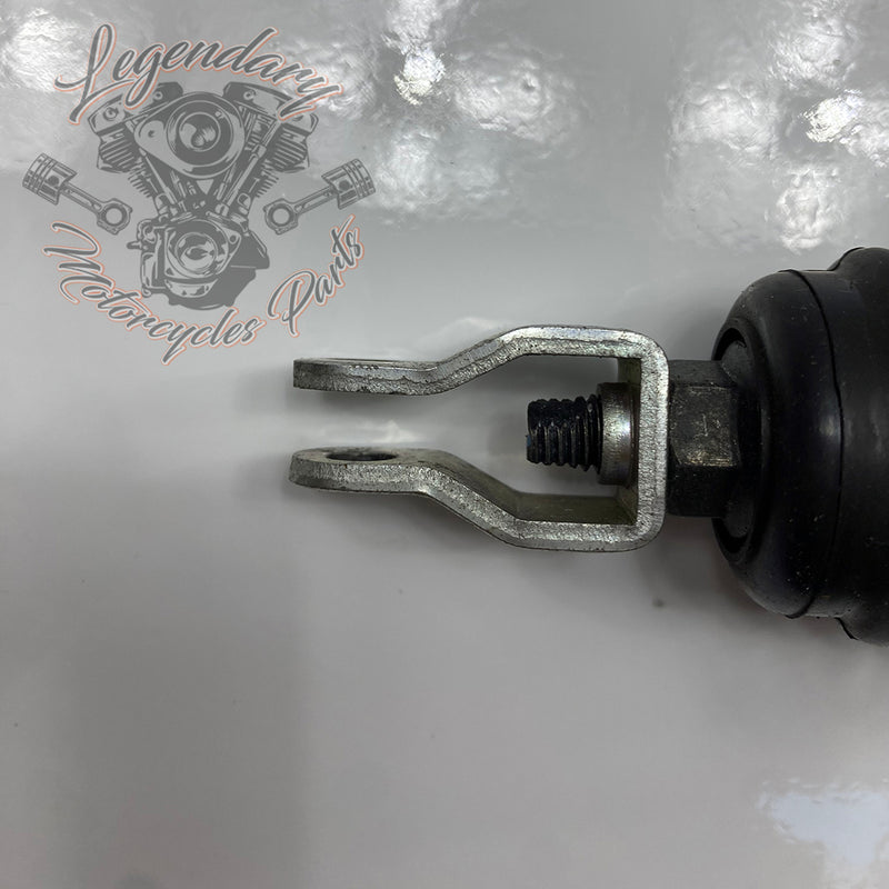 Maître-cylindre de frein arrière OEM 41700460
