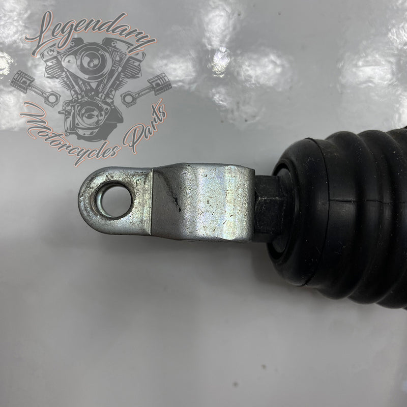 Maître-cylindre de frein arrière OEM 41700460