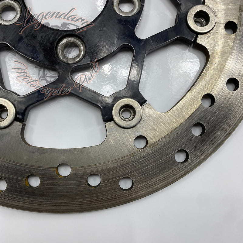 Disque de frein arrière OEM 41500089