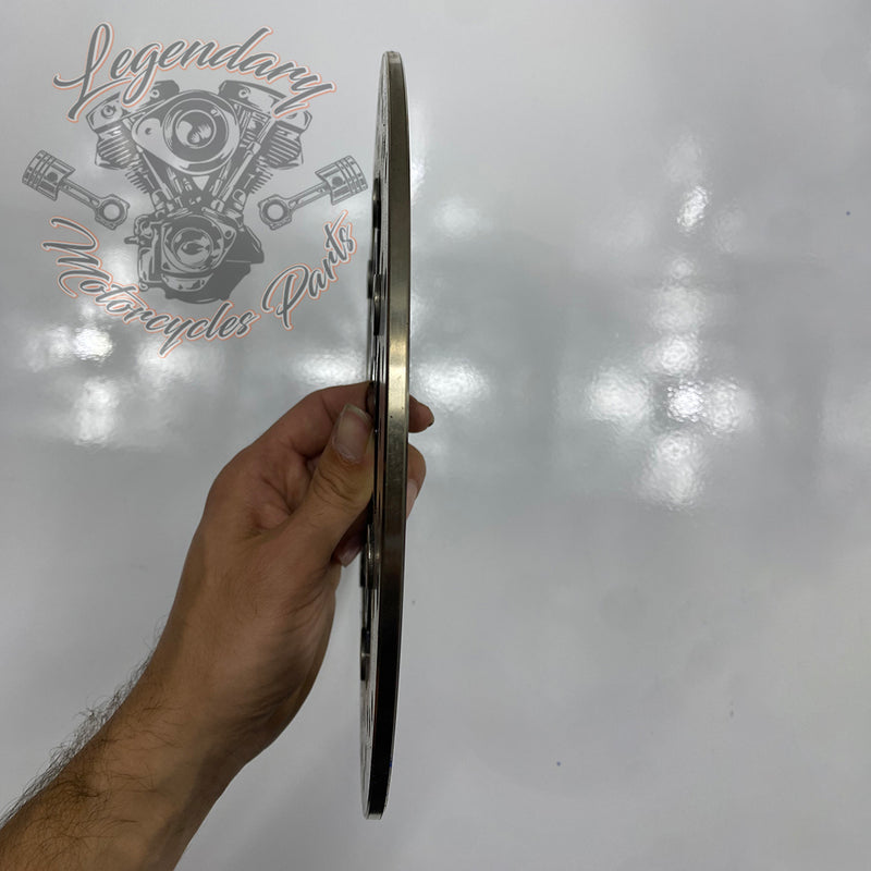 Disque de frein arrière OEM 41500089