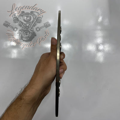 Disque de frein arrière OEM 41500089