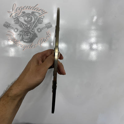 Disque de frein arrière OEM 41500089