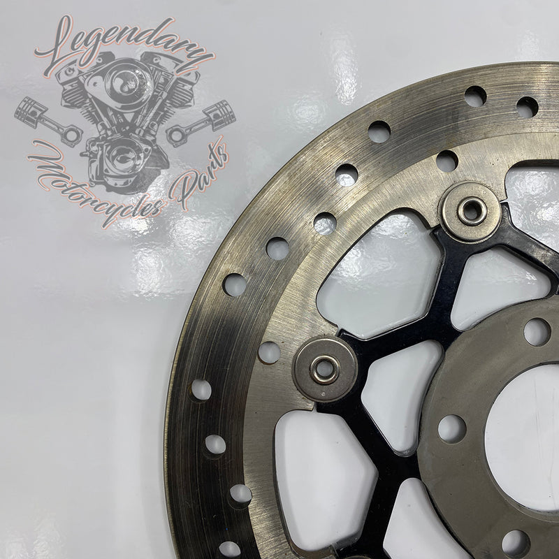 Disque de frein arrière OEM 41500089