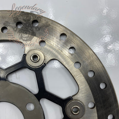 Disque de frein arrière OEM 41500089