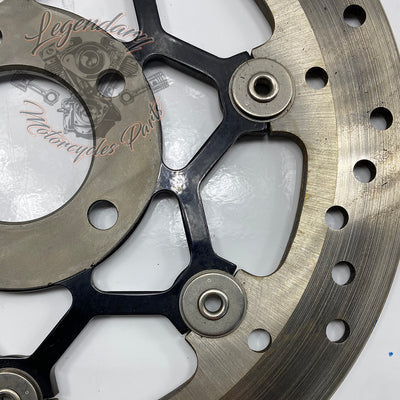 Disque de frein arrière OEM 41500089