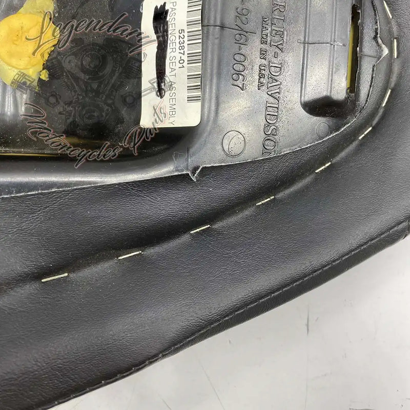 Passenger Seat OEM 52387-01