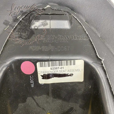 Passenger Seat OEM 52387-01
