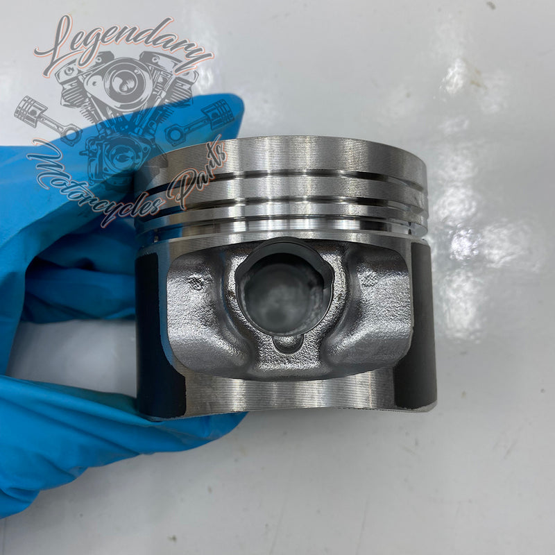 Piston and Ring Kit OEM 22253-86A