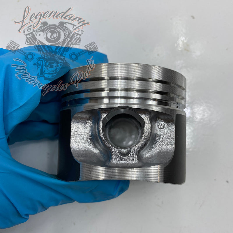 Piston and Ring Kit OEM 22253-86A