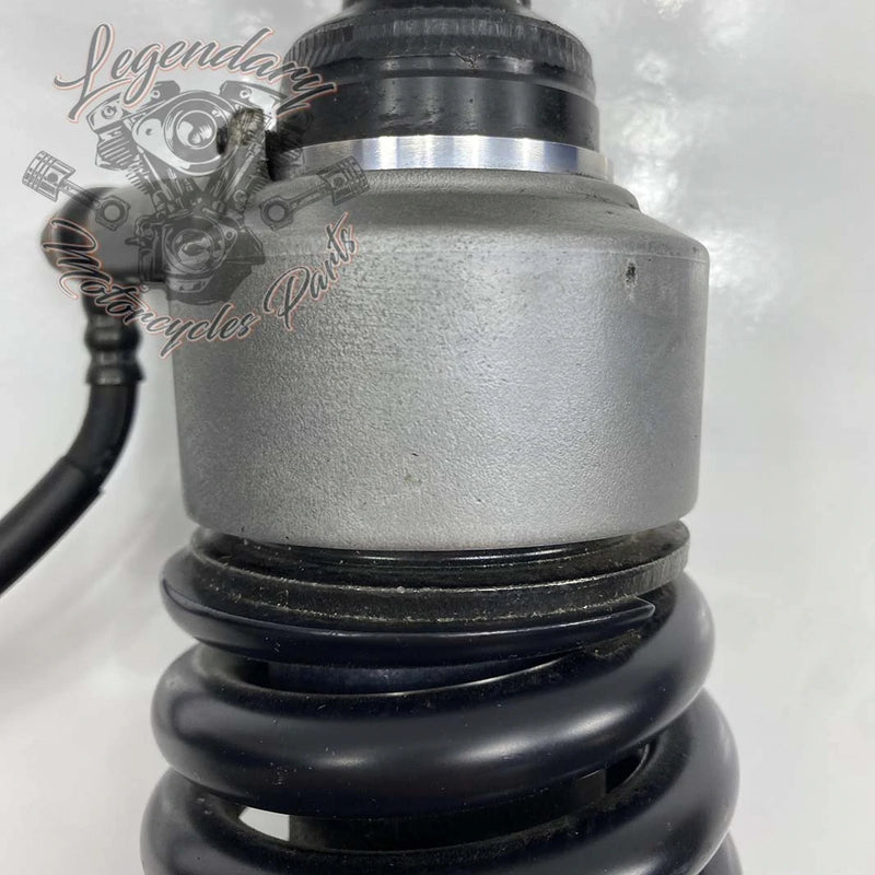 Ammortizzatore OEM 54000139