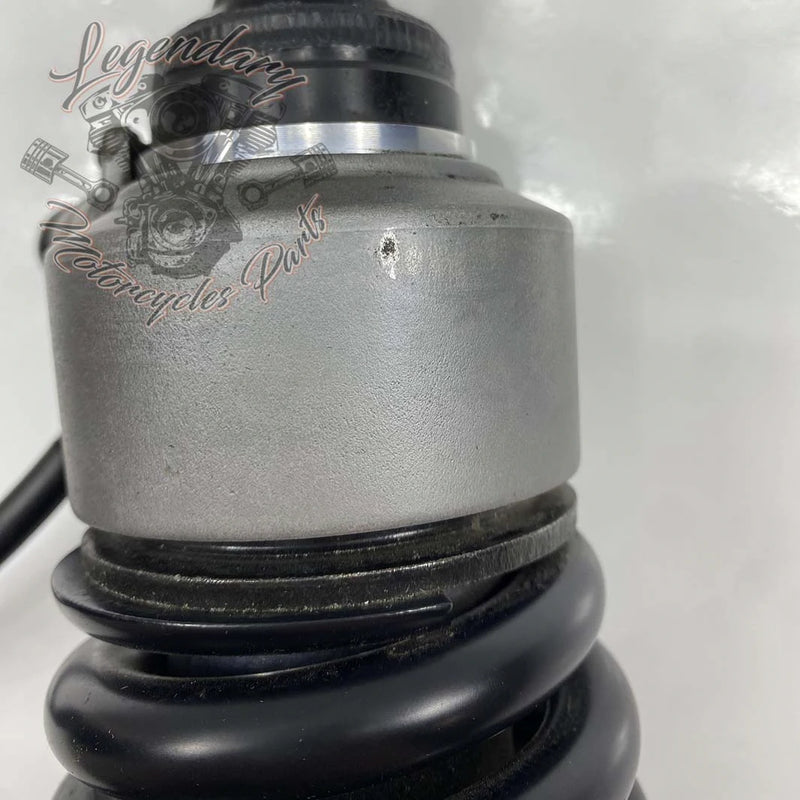 Ammortizzatore OEM 54000139
