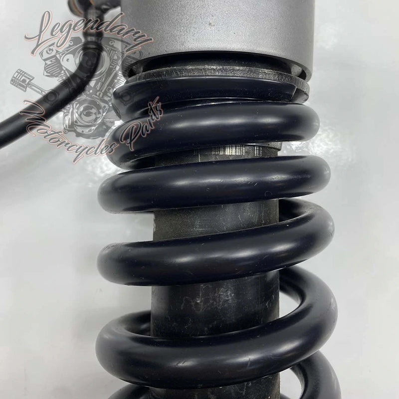 Ammortizzatore OEM 54000139