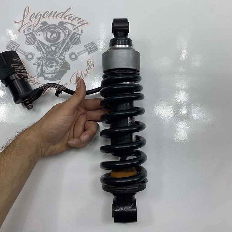 Ammortizzatore OEM 54000139