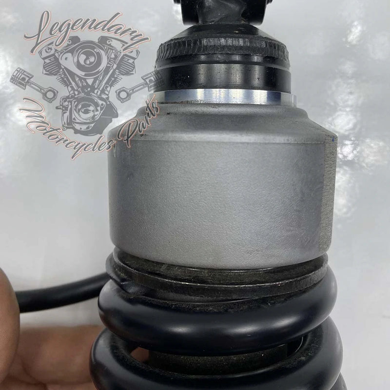 Ammortizzatore OEM 54000139
