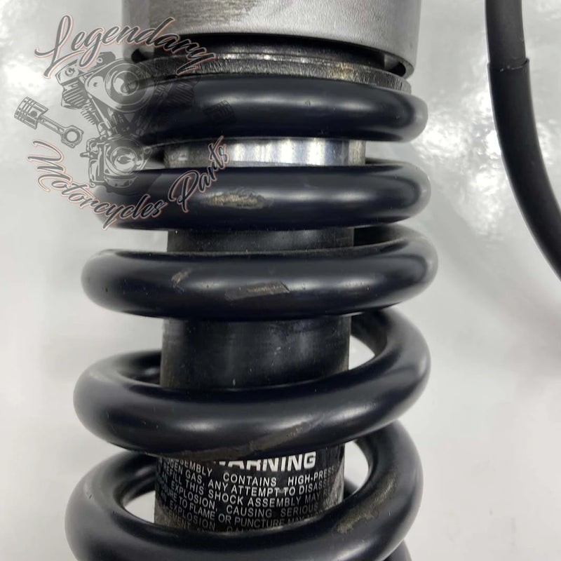 Ammortizzatore OEM 54000139
