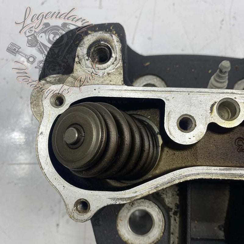 Cabeça do cilindro dianteira OEM 16874-07 (17485-07)