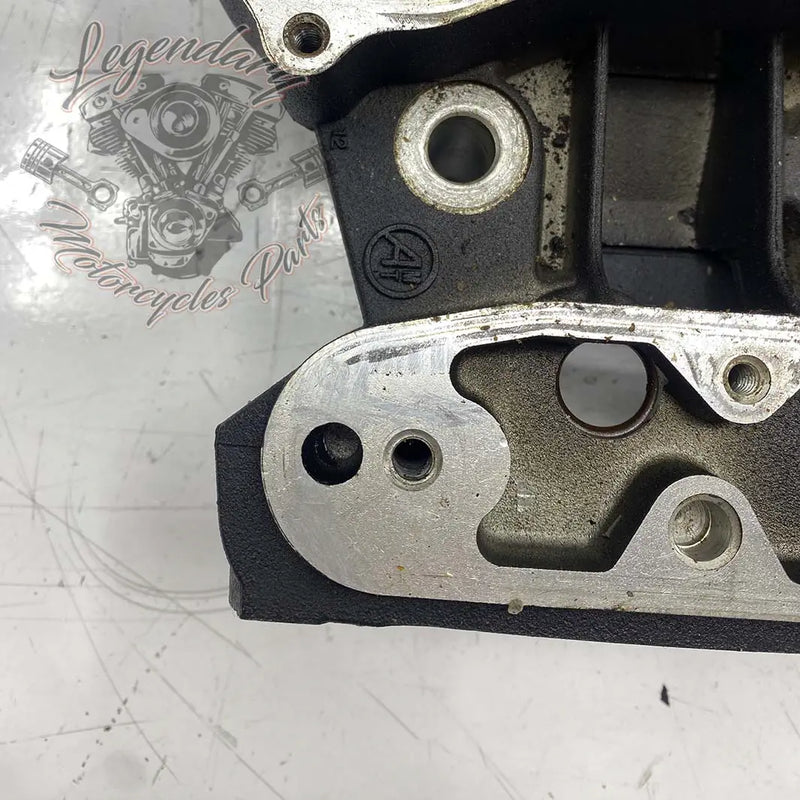 Cabeça do cilindro dianteira OEM 16874-07 (17485-07)