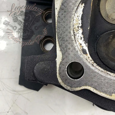 Cabeça do cilindro dianteira OEM 16874-07 (17485-07)