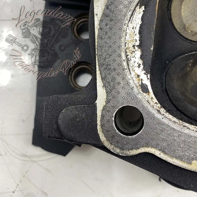 Cabeça do cilindro dianteira OEM 16874-07 (17485-07)