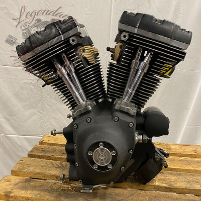 Dyna 1584 (96ci) engine OEM 19587-08