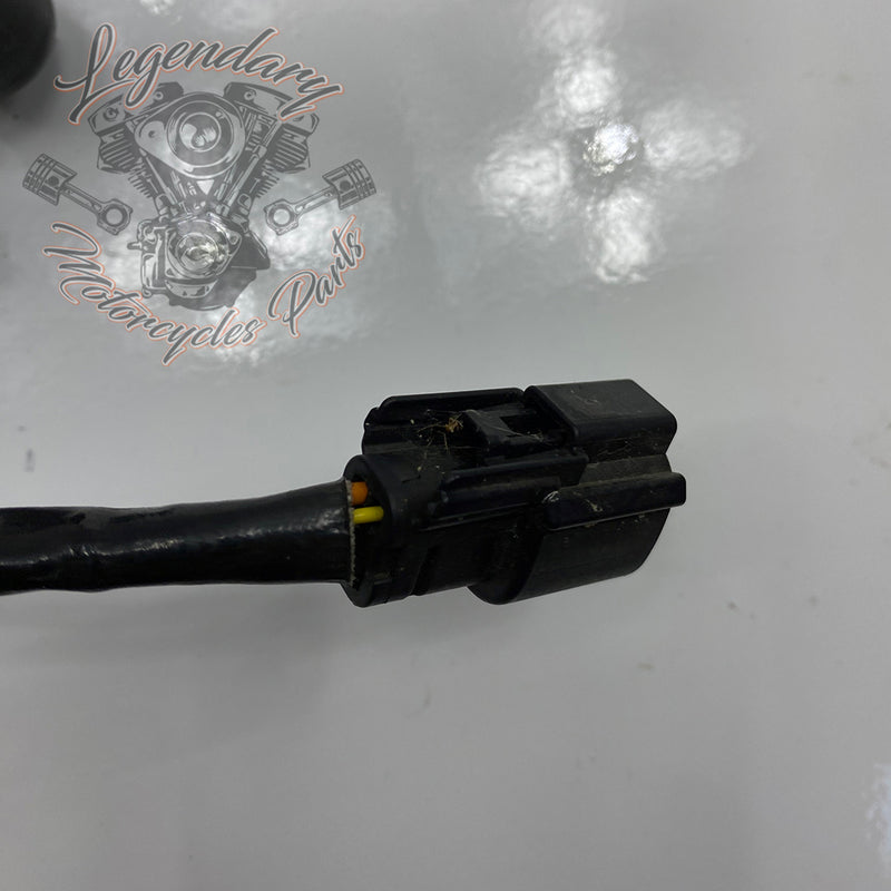 Module de pompe Benzinpumpe carburant  OEM 61200053
