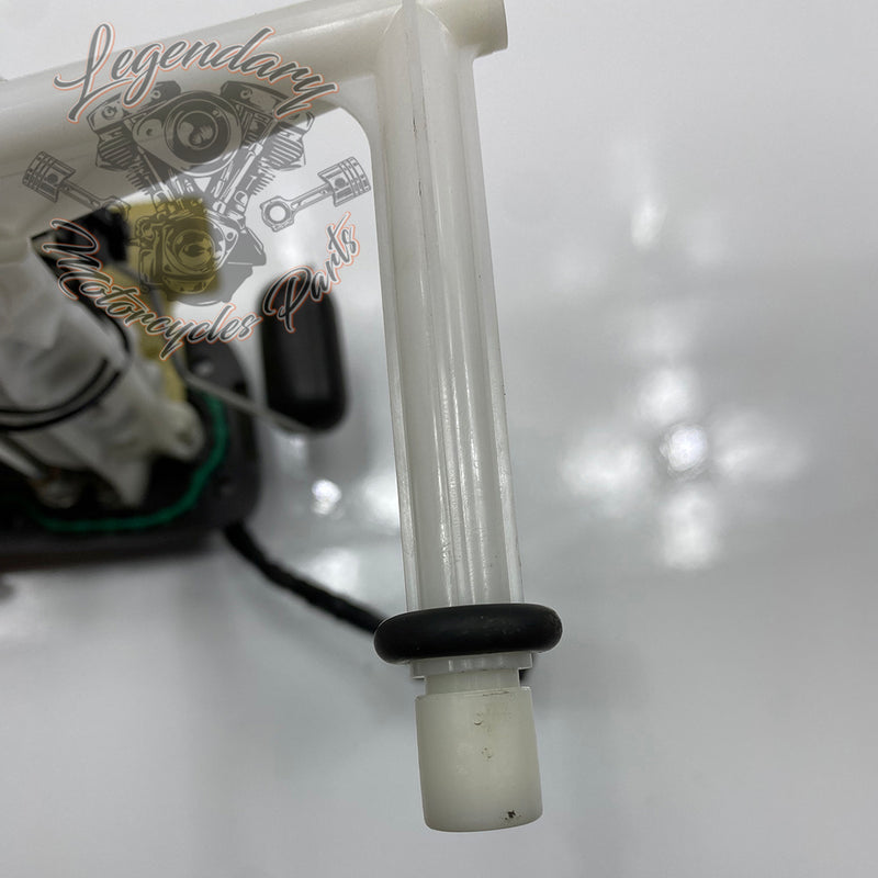 Module de pompe Benzinpumpe carburant  OEM 61200053