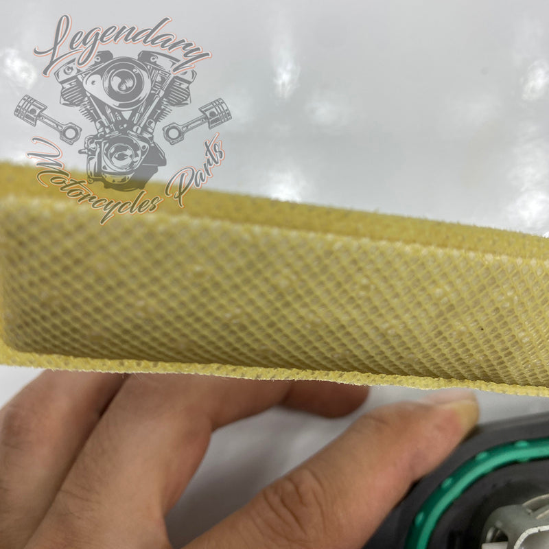 Module de pompe Benzinpumpe carburant  OEM 61200053