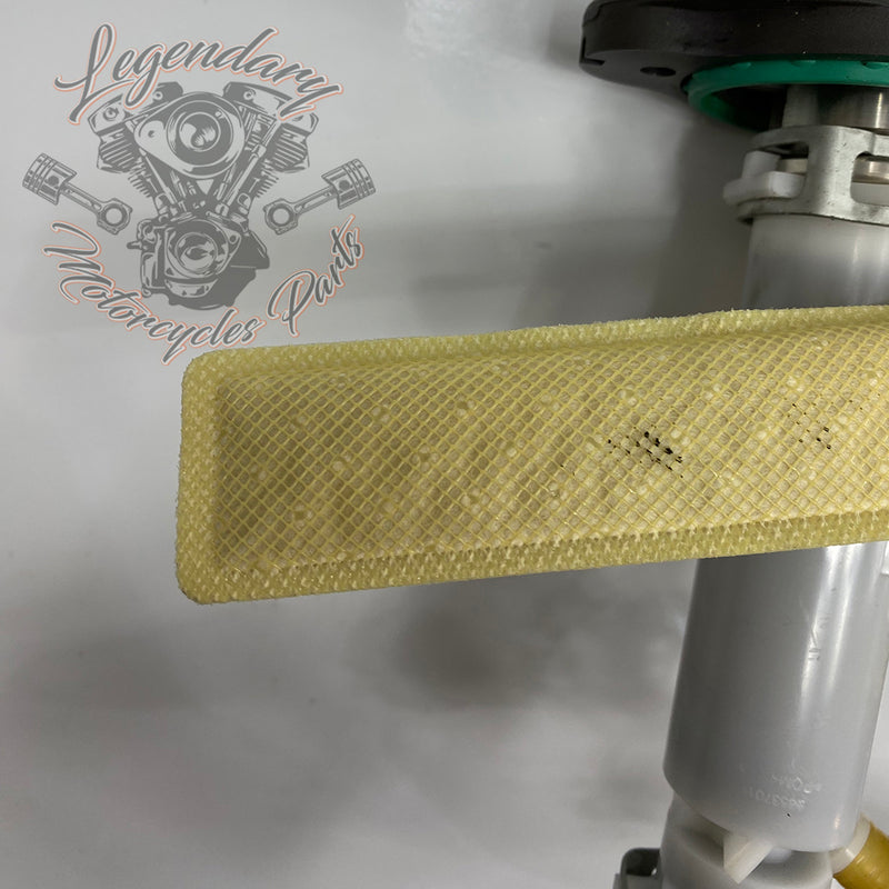 Module de pompe Benzinpumpe carburant  OEM 61200053