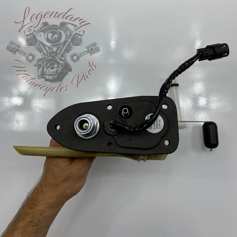 Module de pompe Benzinpumpe carburant  OEM 61200053