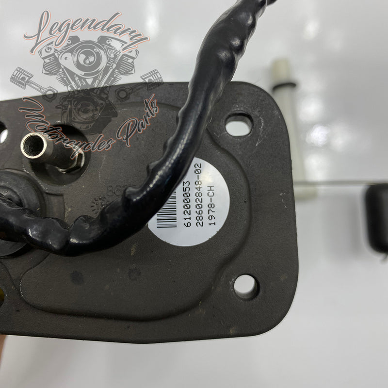 Module de pompe Benzinpumpe carburant  OEM 61200053