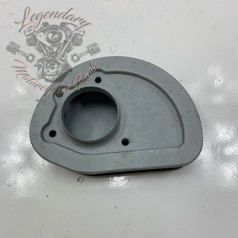Filtro de aire OEM 29400045
