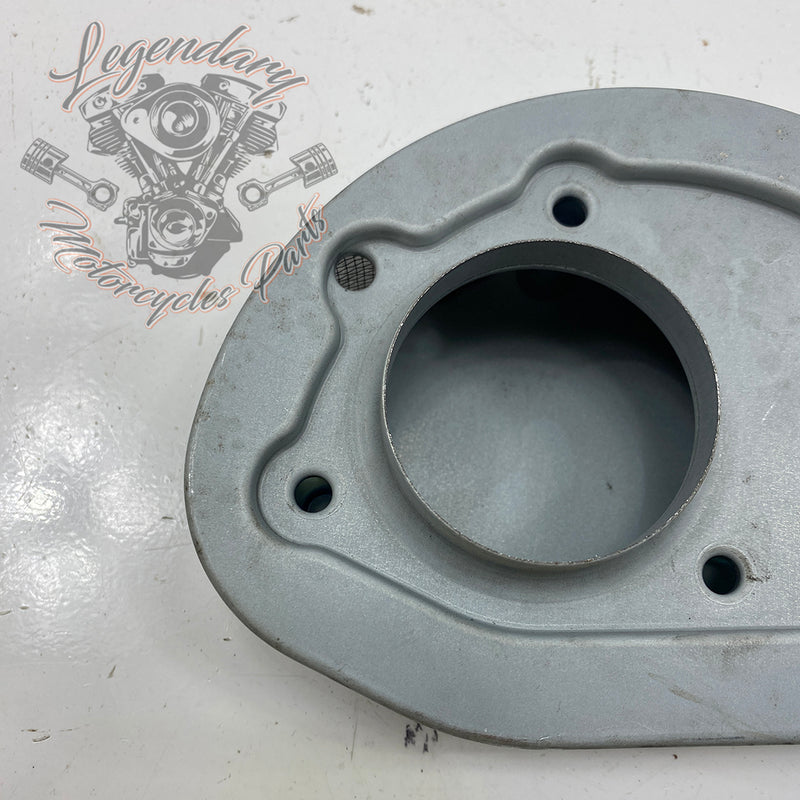Filtro de aire OEM 29400045