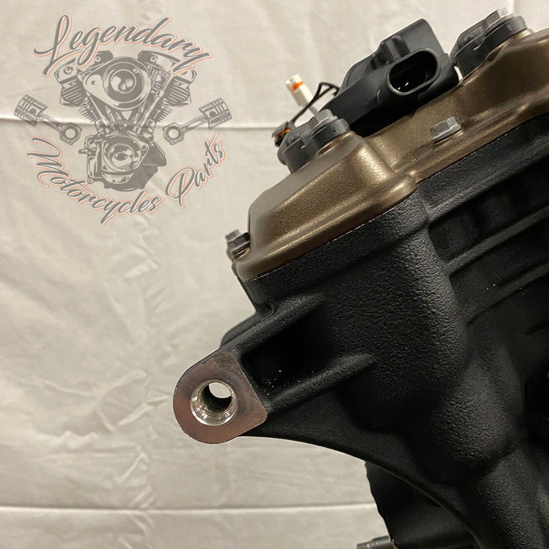 Sportster S 1250 OEM 16101319 Motor