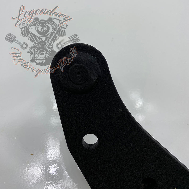 Footrest bracket and brake pedal OEM 42507-87A