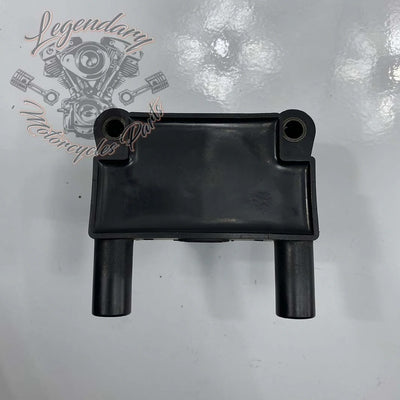 Zündspule OEM 31696-07A