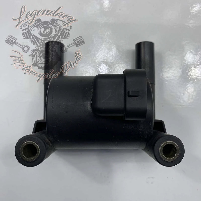 Zündspule OEM 31696-07A