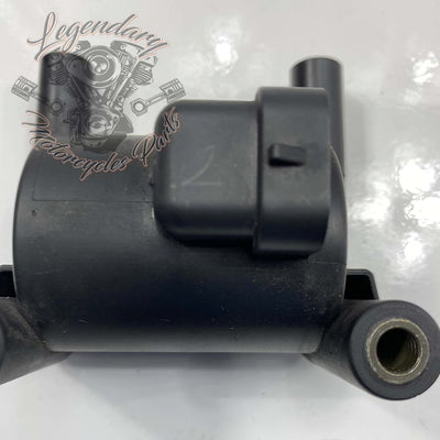 Zündspule OEM 31696-07A
