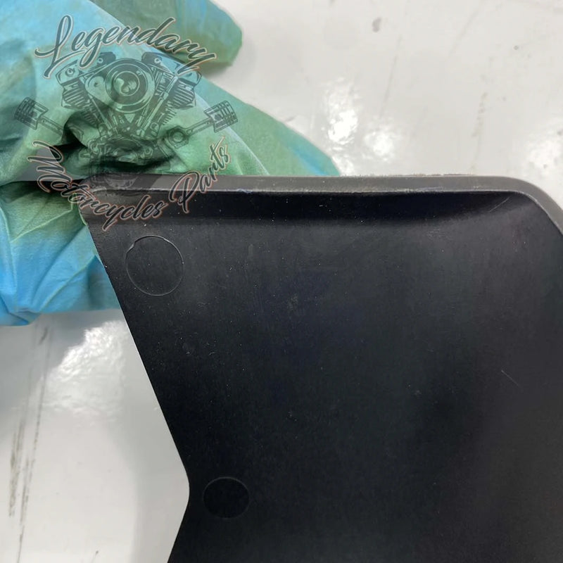 Linker Verkleidungswindabweiser OEM 57200012
