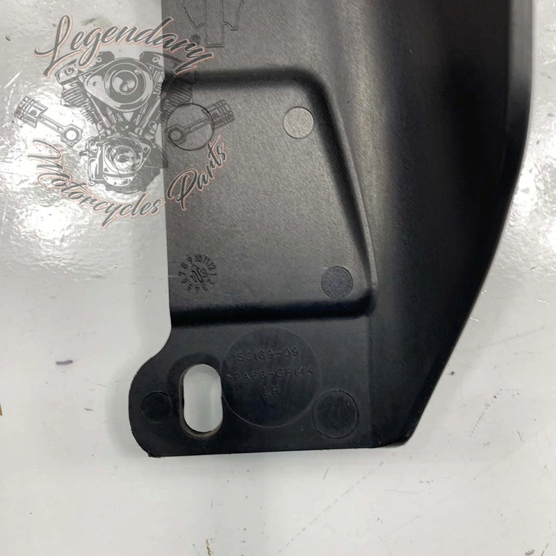 Linker Verkleidungswindabweiser OEM 57200012