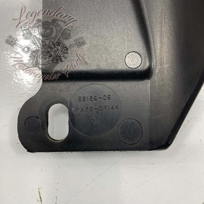 Linker Verkleidungswindabweiser OEM 57200012