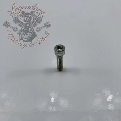 Schraube 1/4-20 X 7/8 OEM 884A