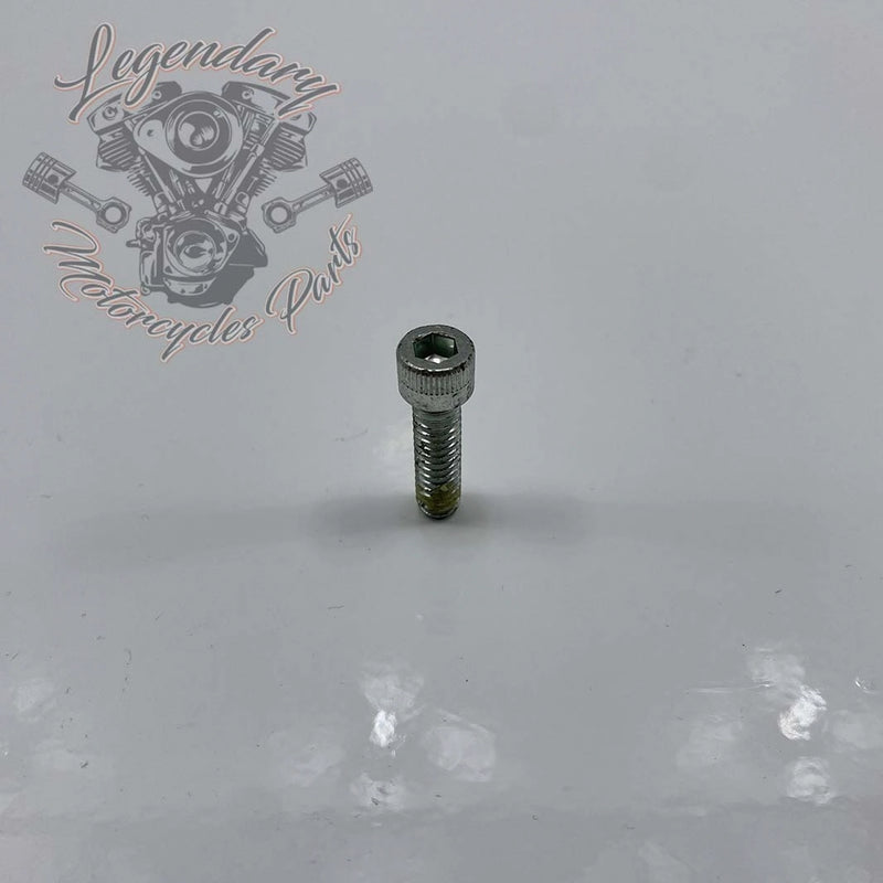 Schraube 1/4-20 X 7/8 OEM 884A