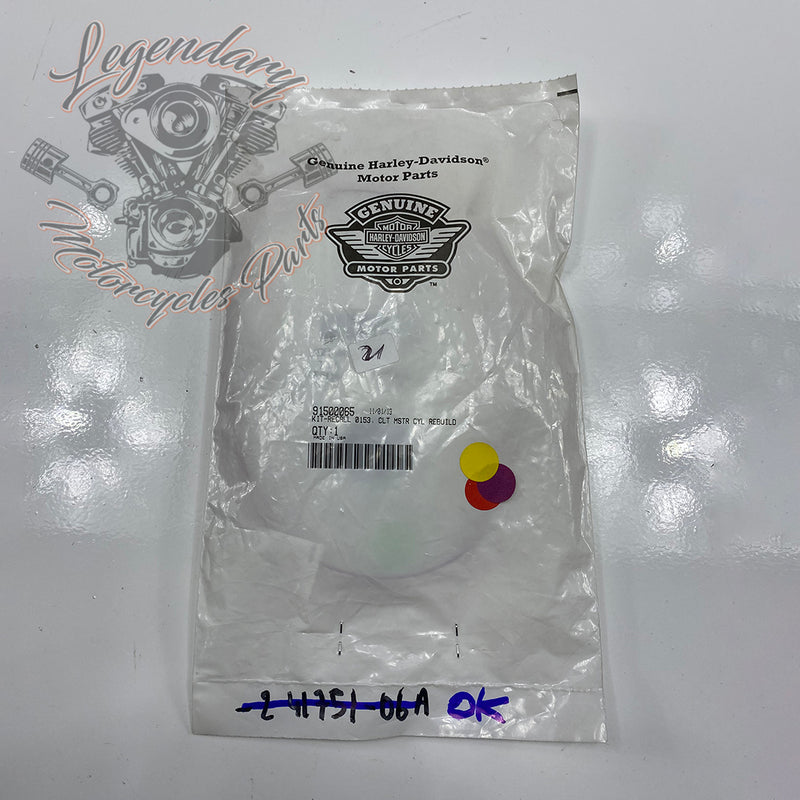 Master Cylinder Repair Kit OEM 91500065