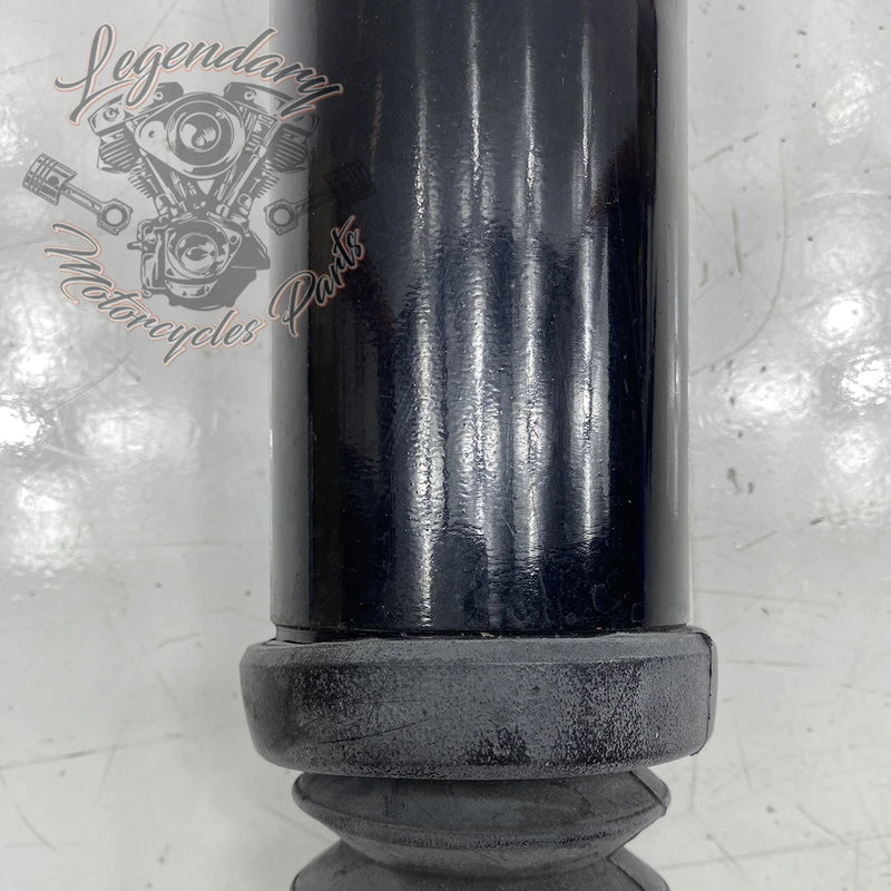 Shock Absorber OEM 54000036
