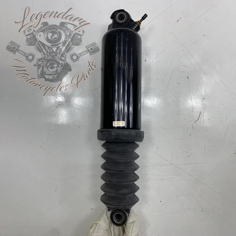 Shock Absorber OEM 54000036