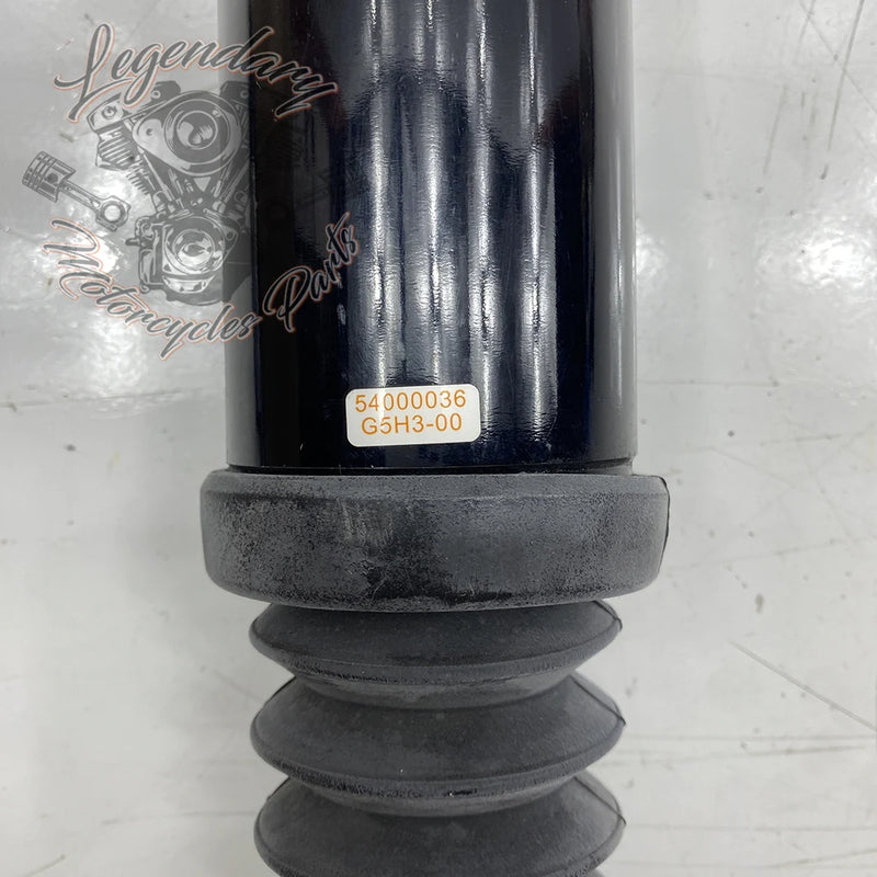 Shock Absorber OEM 54000036