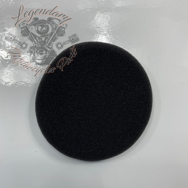 Helmet Earphone Sponges OEM 76529-10