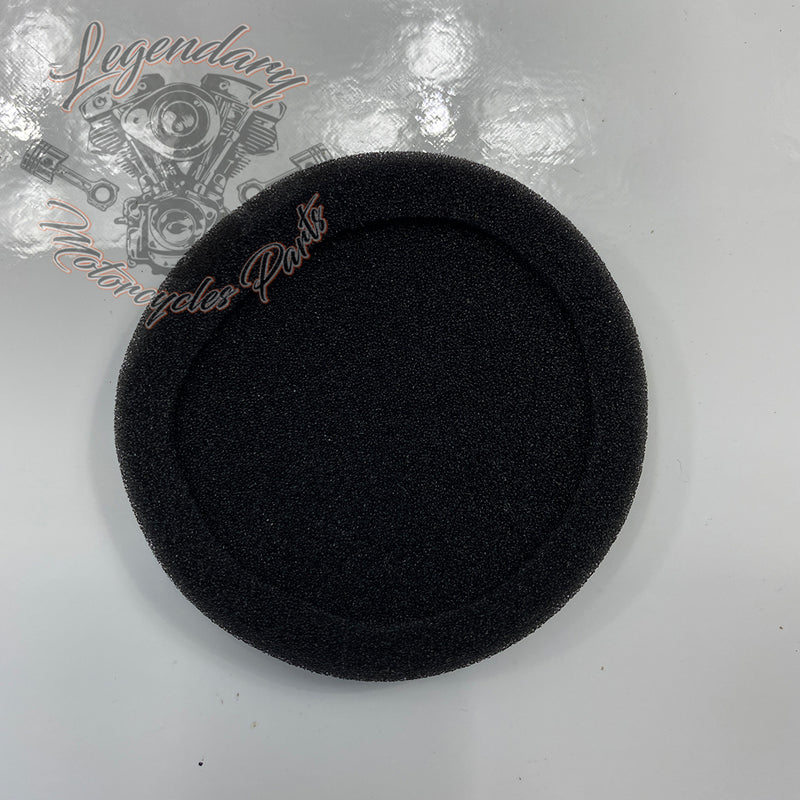 Helmet Earphone Sponges OEM 76529-10